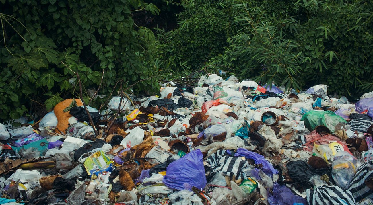 When an Important Move, Waste Removal